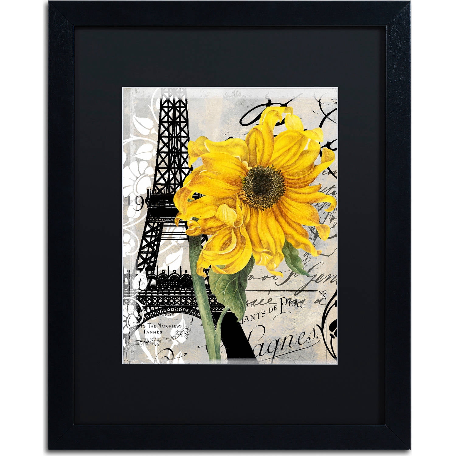 Trademark Fine Art "Paris Blanc" Canvas Art by Color Bakery, Black Matte, Black Frame