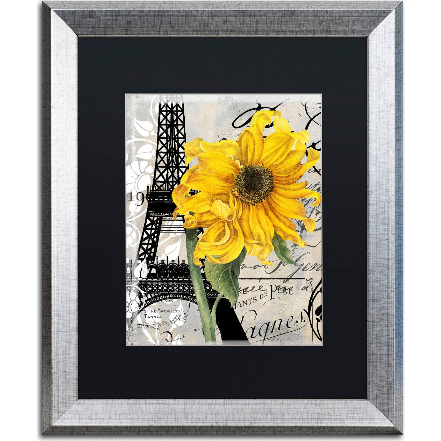 Trademark Fine Art "Paris Blanc" Canvas Art by Color Bakery, Black Matte, Silver Frame