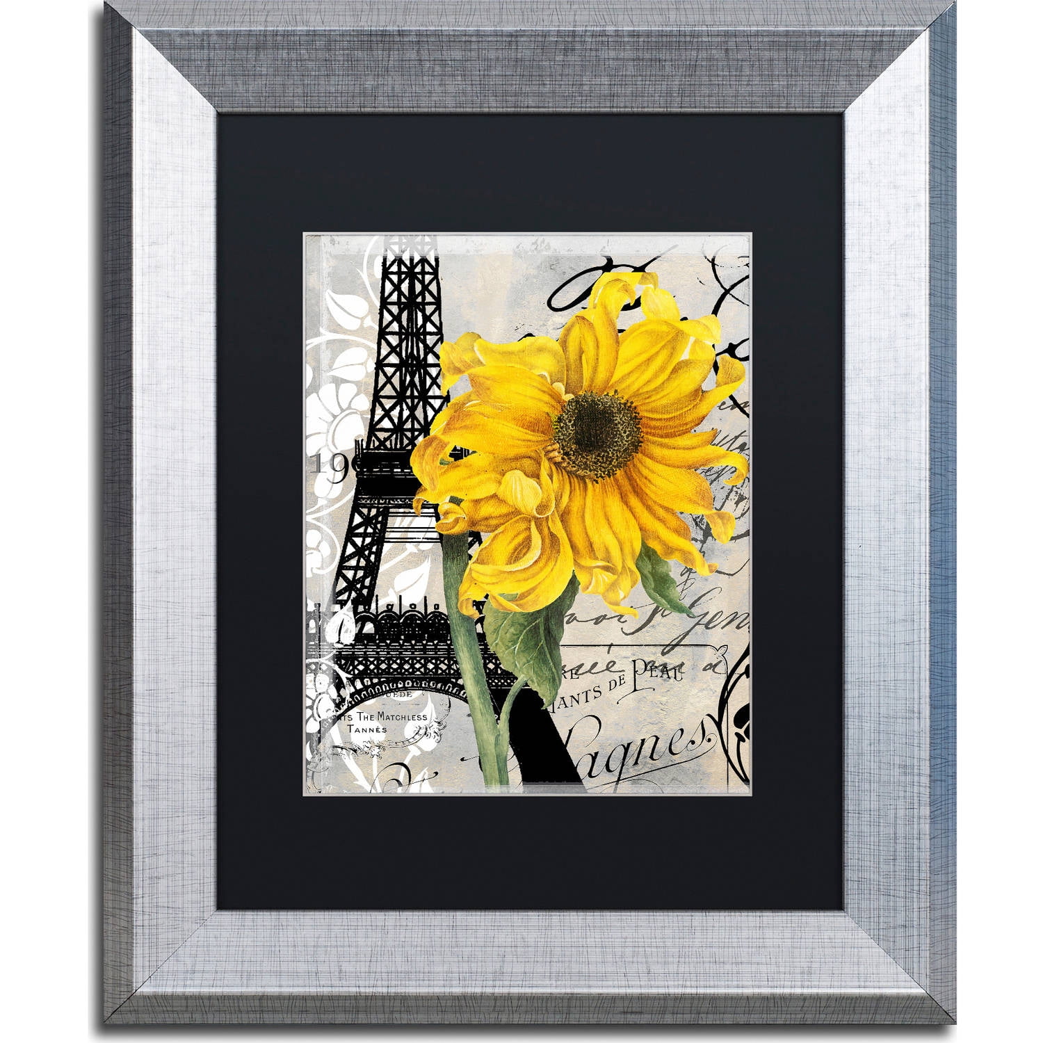 Trademark Fine Art "Paris Blanc" Canvas Art by Color Bakery, Black Matte, Silver Frame