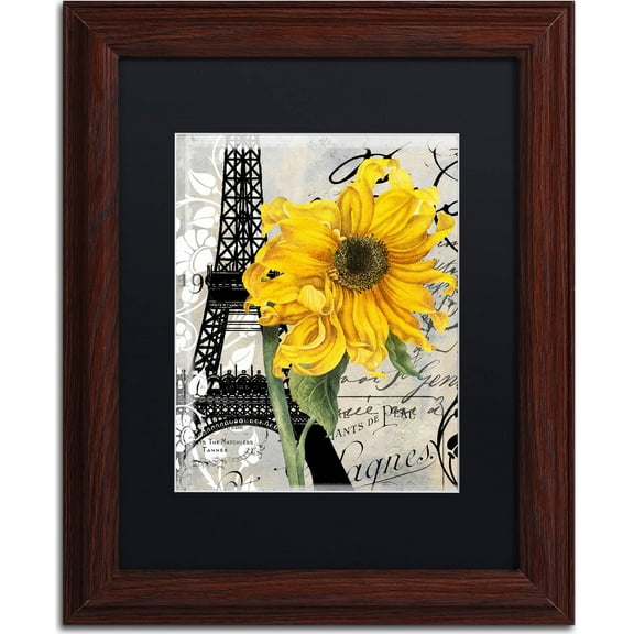 Trademark Fine Art "Paris Blanc" Canvas Art by Color Bakery, Black Matte, Wood Frame