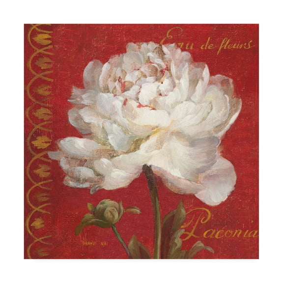 Trademark Fine Art 'Paris Blossom IV' Canvas Art by Danhui Nai