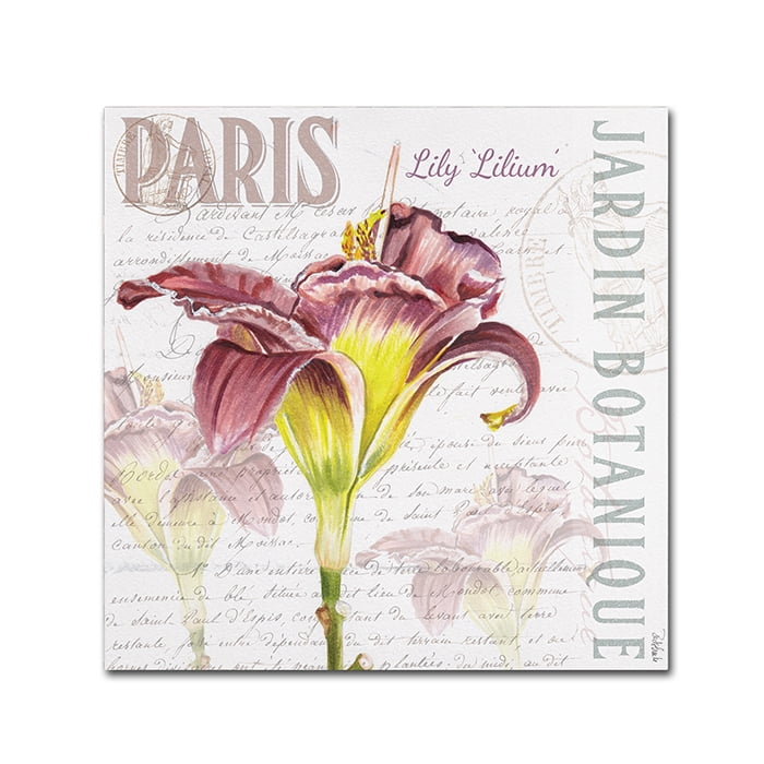 Trademark Fine Art "Paris Botanique Lily Burgundy" Canvas Art by Jennifer Redstreake