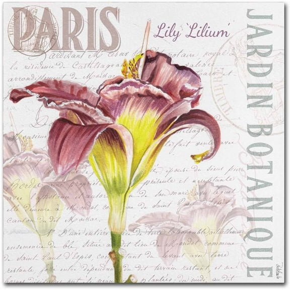 Trademark Fine Art "Paris Botanique Lily Burgundy" Canvas Art by Jennifer Redstreake