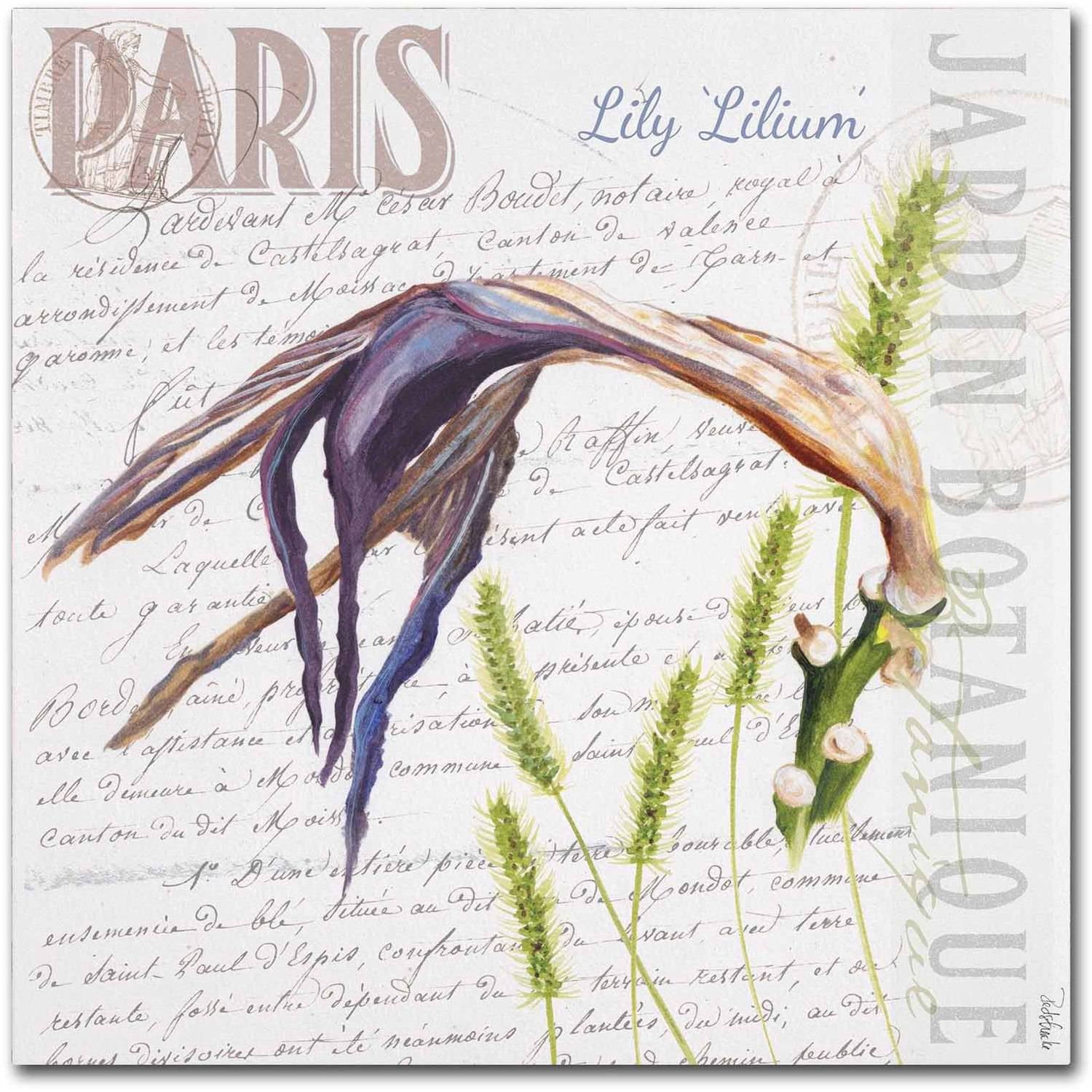 Trademark Fine Art "Paris Botanique Lily Purple" Canvas Art by Jennifer Redstreake