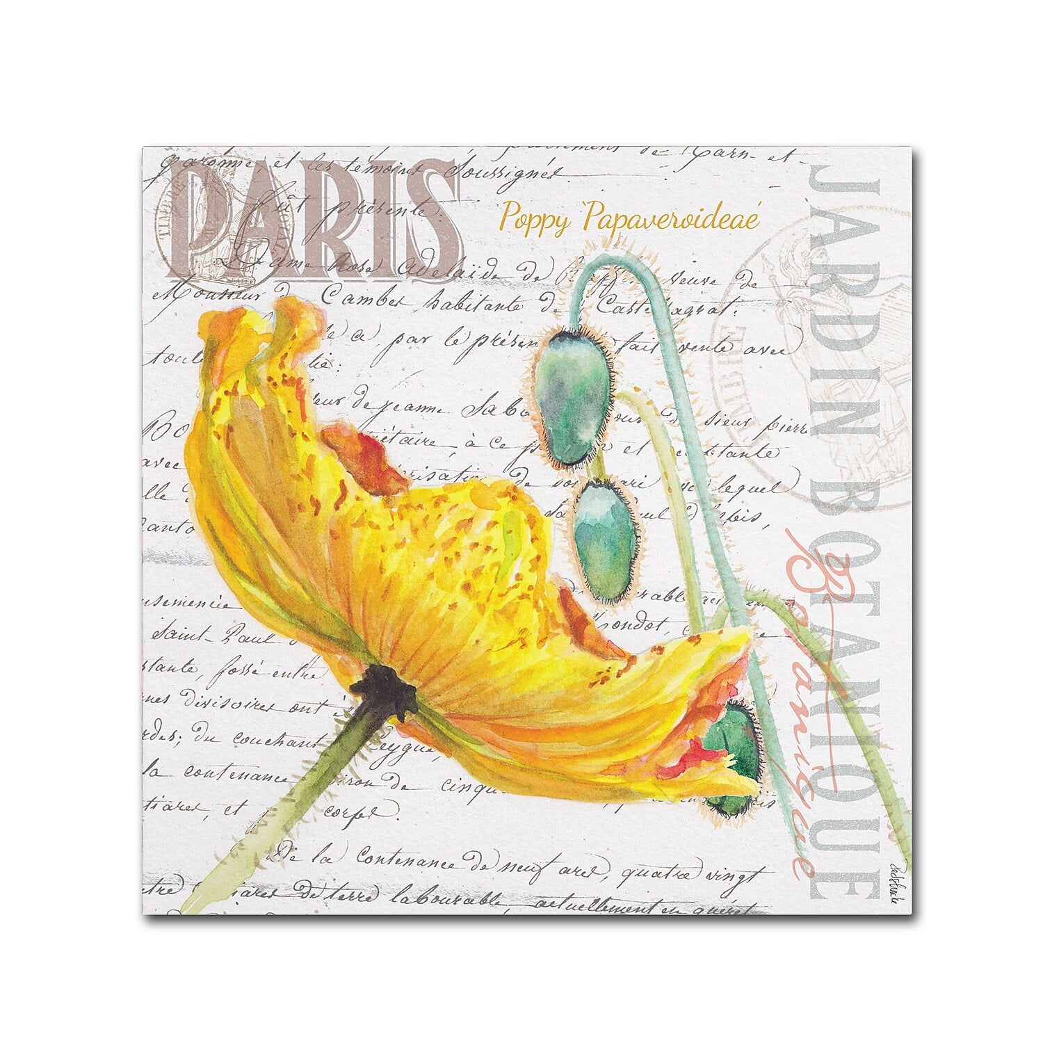 Trademark Fine Art "Paris Botanique Yellow Poppy" Canvas Art by Jennifer Redstreake
