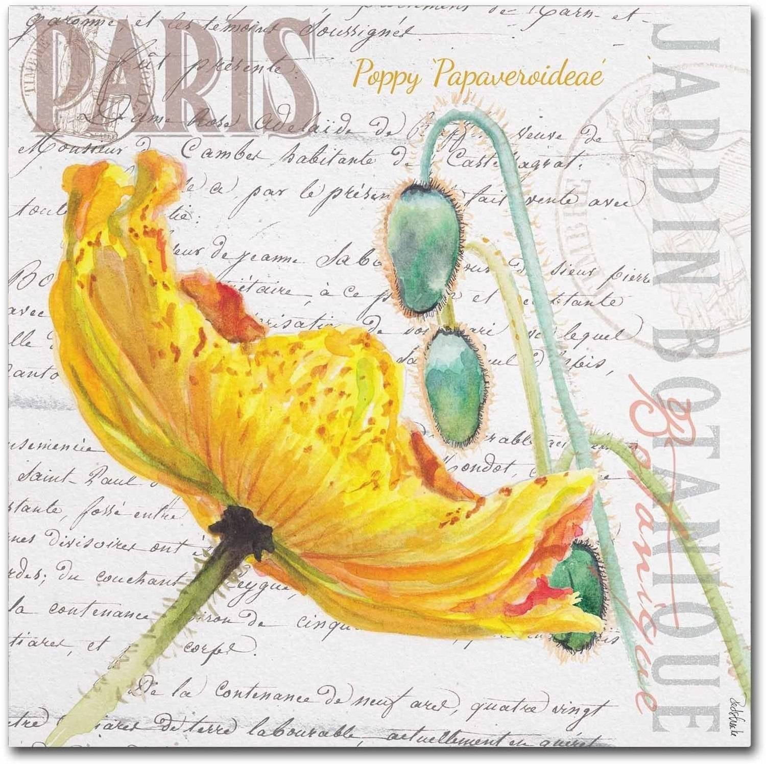 Trademark Fine Art "Paris Botanique Yellow Poppy" Canvas Art by Jennifer Redstreake
