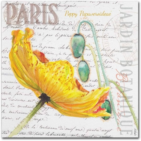 Trademark Fine Art "Paris Botanique Yellow Poppy" Canvas Art by Jennifer Redstreake