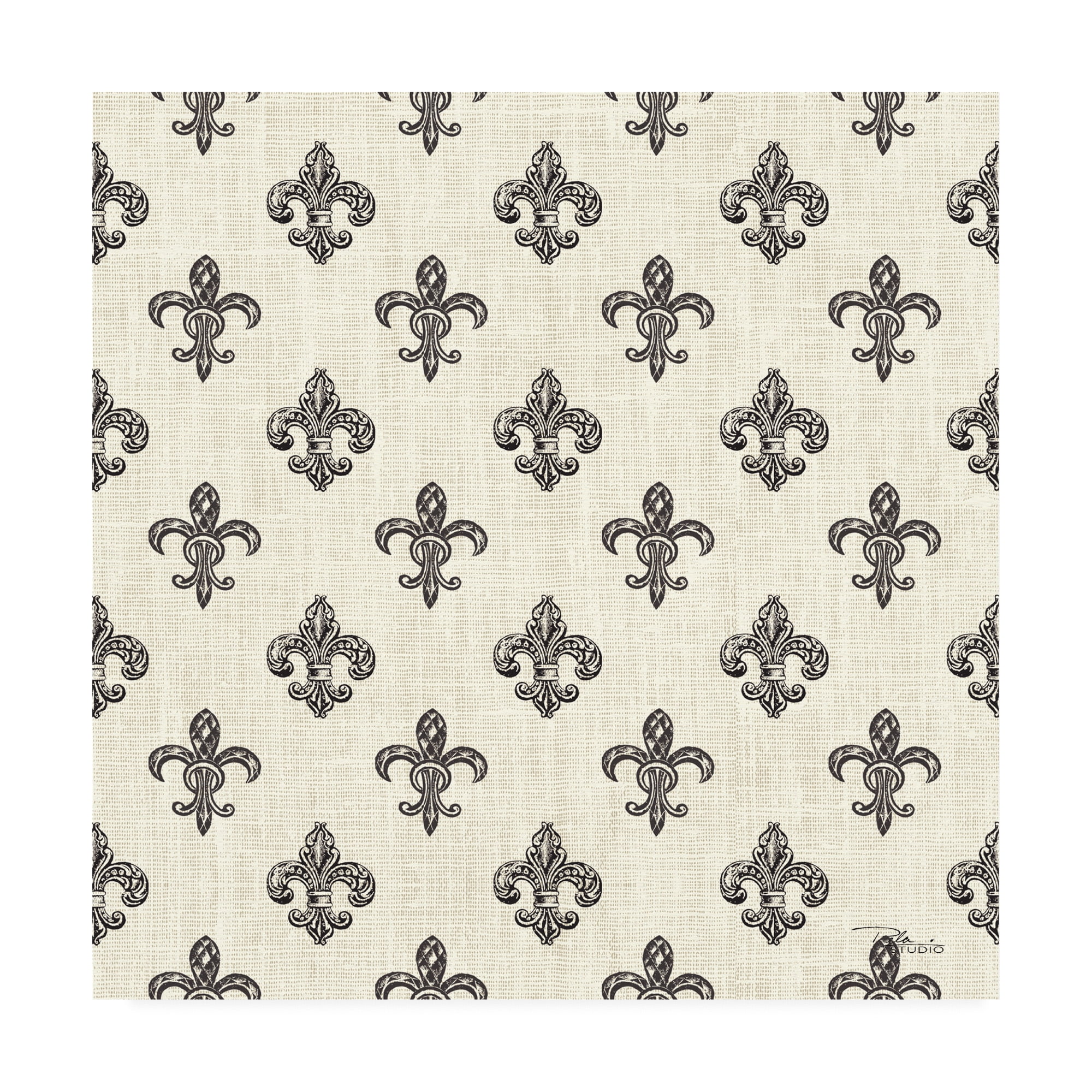 Trademark Fine Art 'Paris Farmhouse Pattern IIIA' Canvas Art by Pela Studio