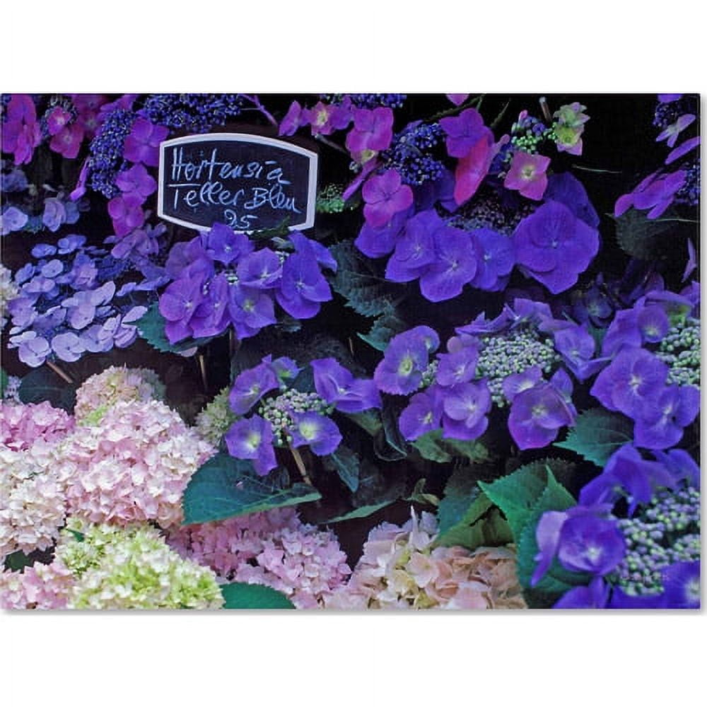 Trademark Fine Art "Paris Flower Market Hydrangeas" Canvas Art by Kathy Yates