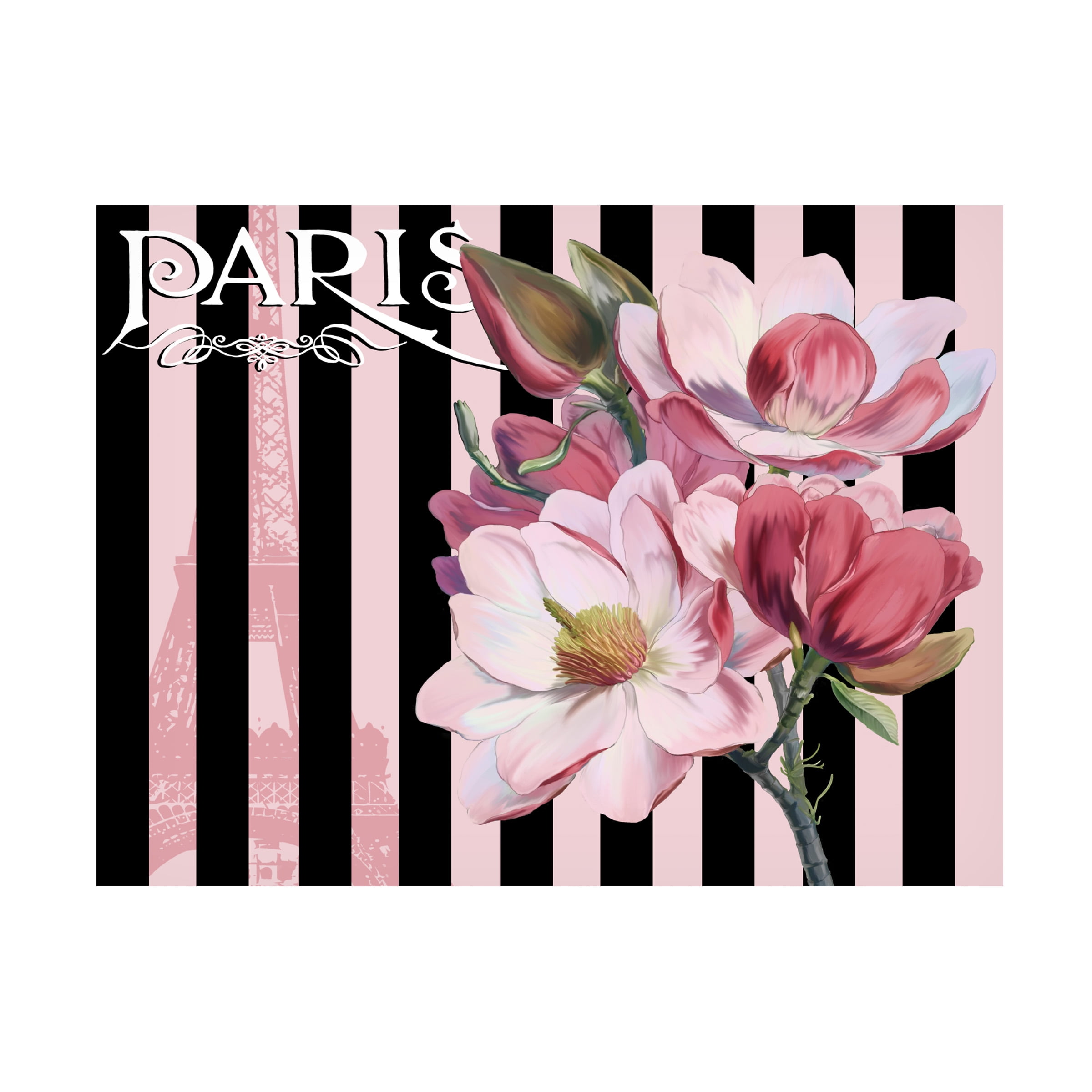Trademark Fine Art 'Paris Magnolias III' Canvas Art by Tina Lavoie