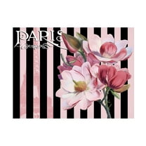 Trademark Fine Art 'Paris Magnolias III' Canvas Art by Tina Lavoie