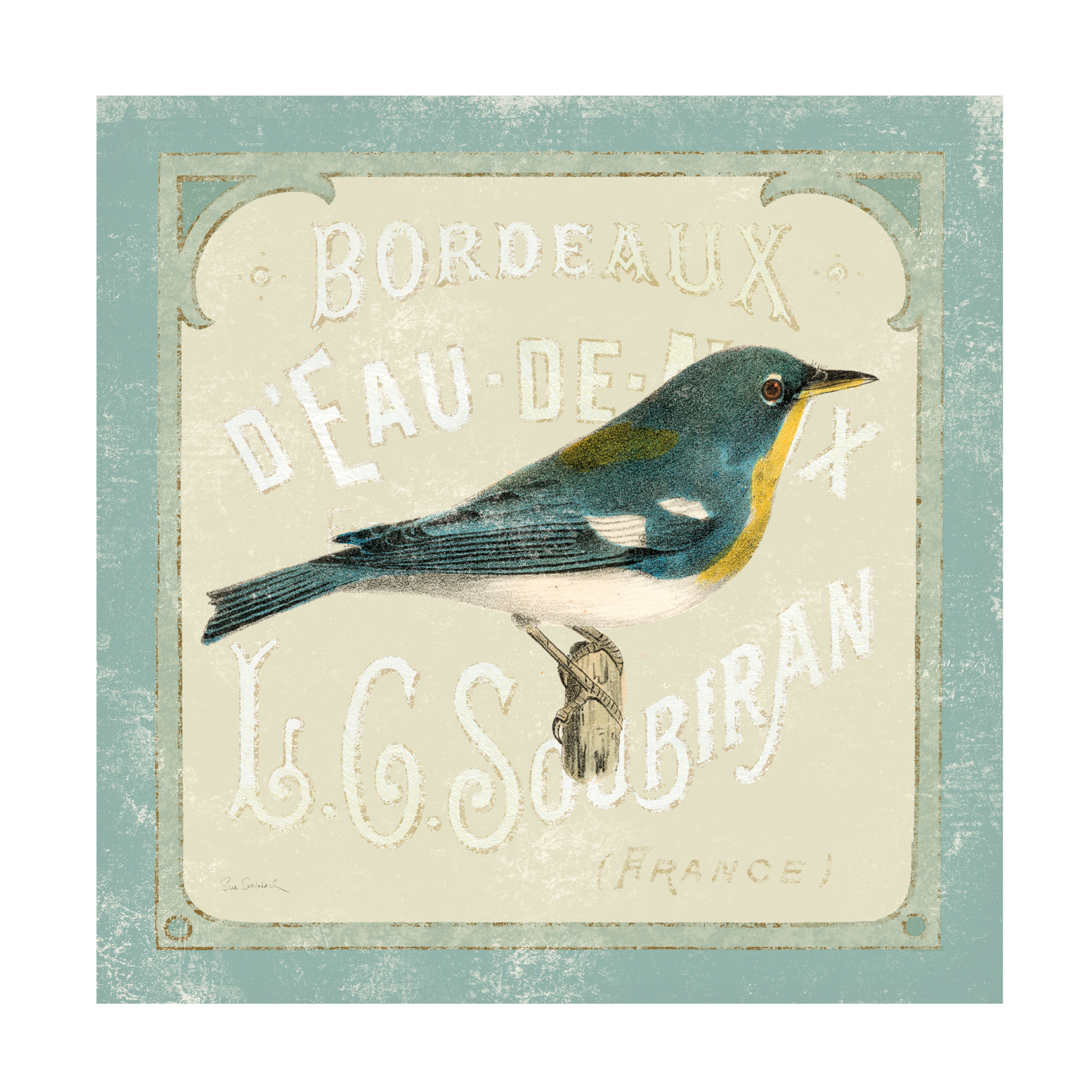 Trademark Fine Art 'Parisian Bird I' Canvas Art by Sue Schlabach