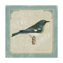 Trademark Fine Art 'Parisian Bird I' Canvas Art by Sue Schlabach