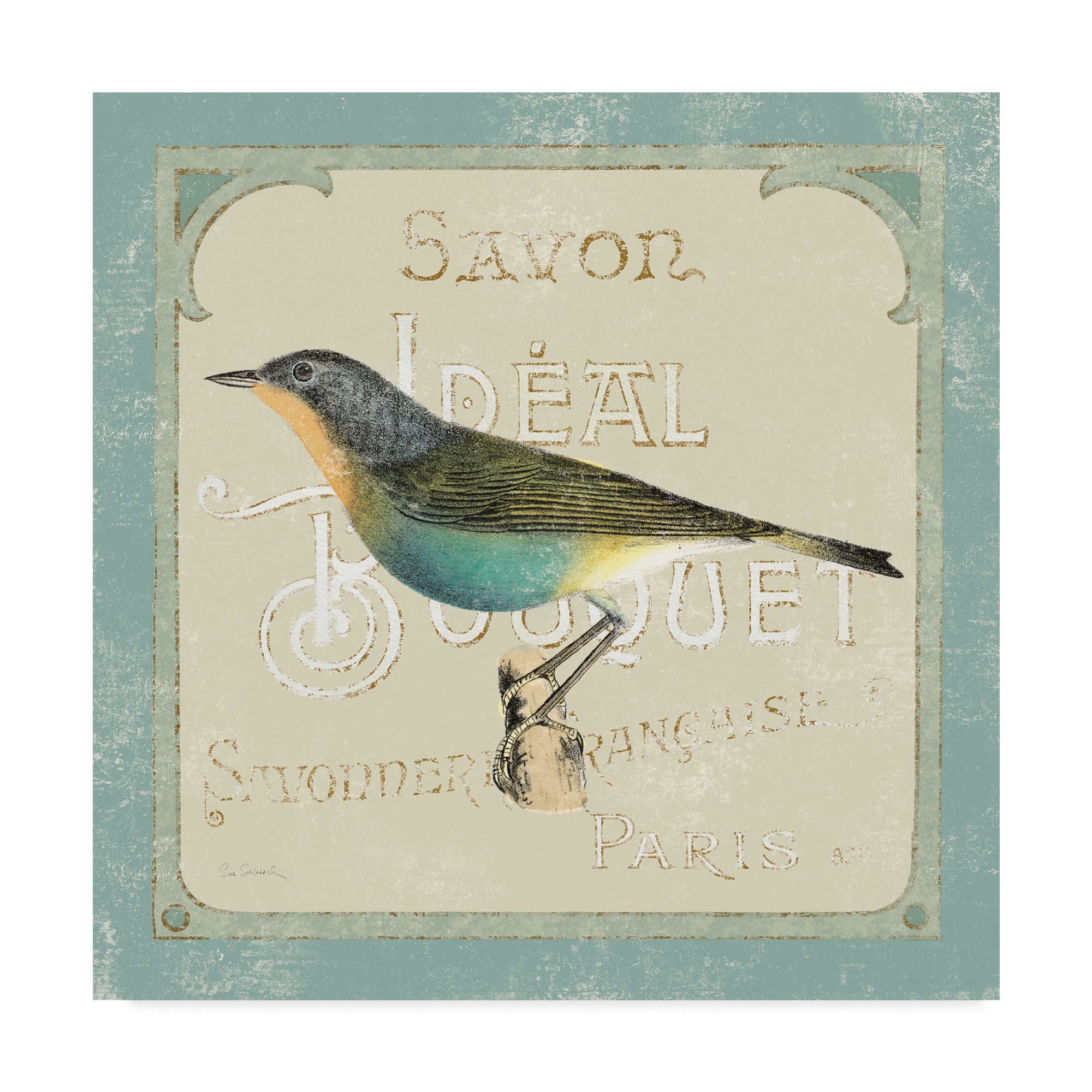 Trademark Fine Art 'Parisian Bird II' Canvas Art by Sue Schlabach