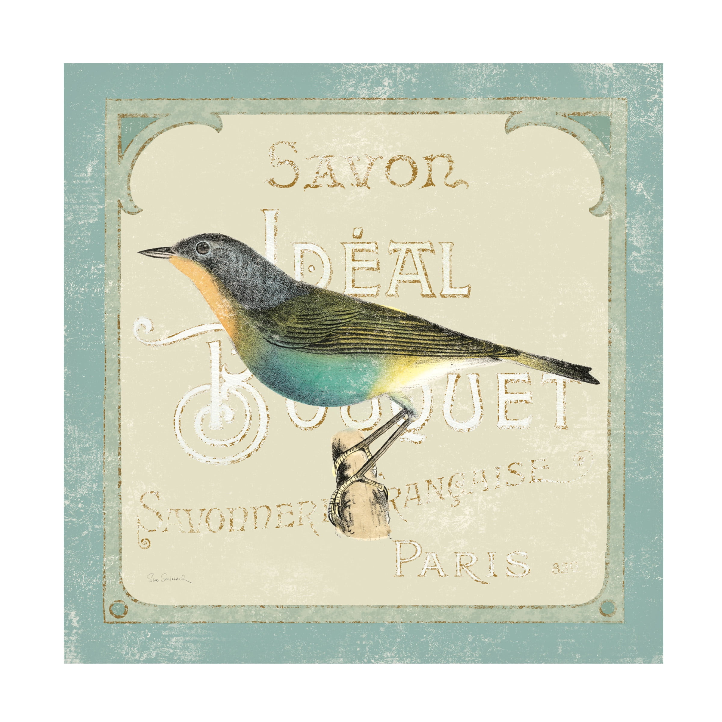 Trademark Fine Art 'Parisian Bird II' Canvas Art by Sue Schlabach