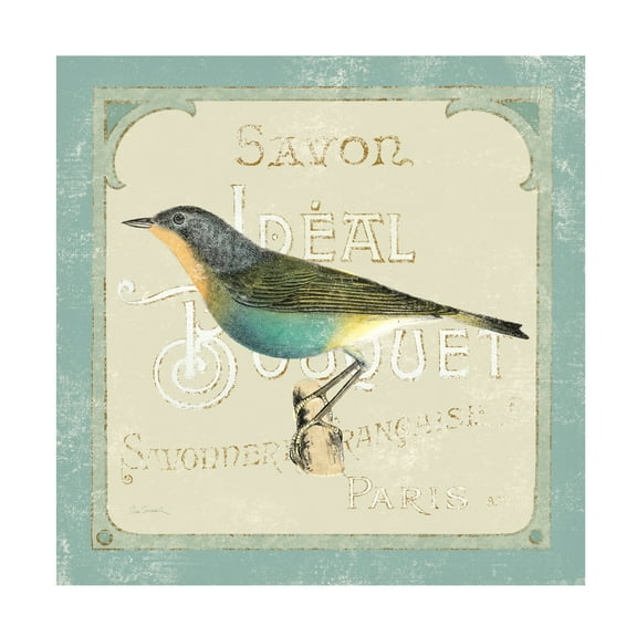 Trademark Fine Art 'Parisian Bird II' Canvas Art by Sue Schlabach