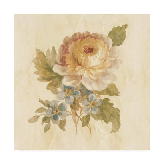 Trademark Fine Art 'Parisian Flower I on White Square' Canvas Art by Danhui Nai