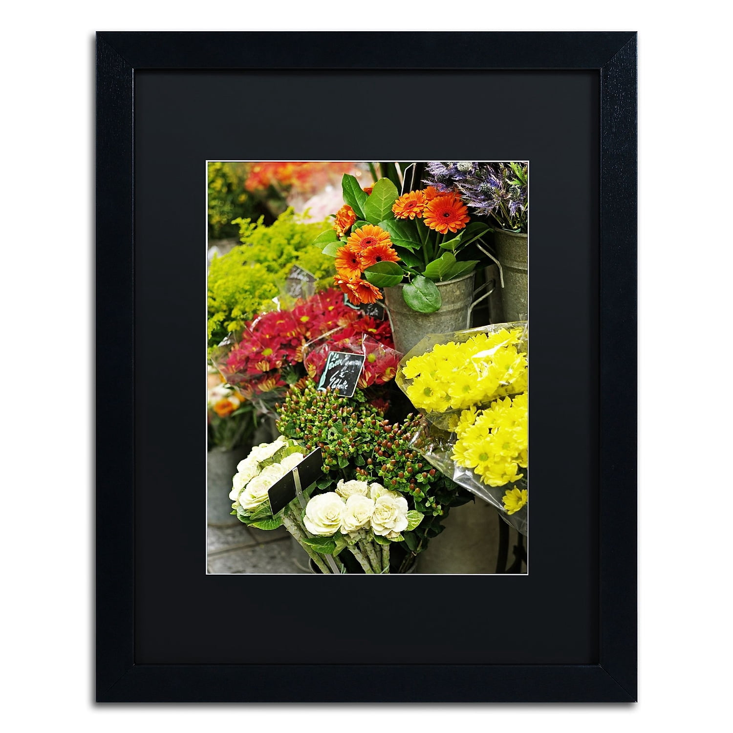 Trademark Fine Art "Parisian Flowers" Canvas Art by Preston Black Mat, Black Frame