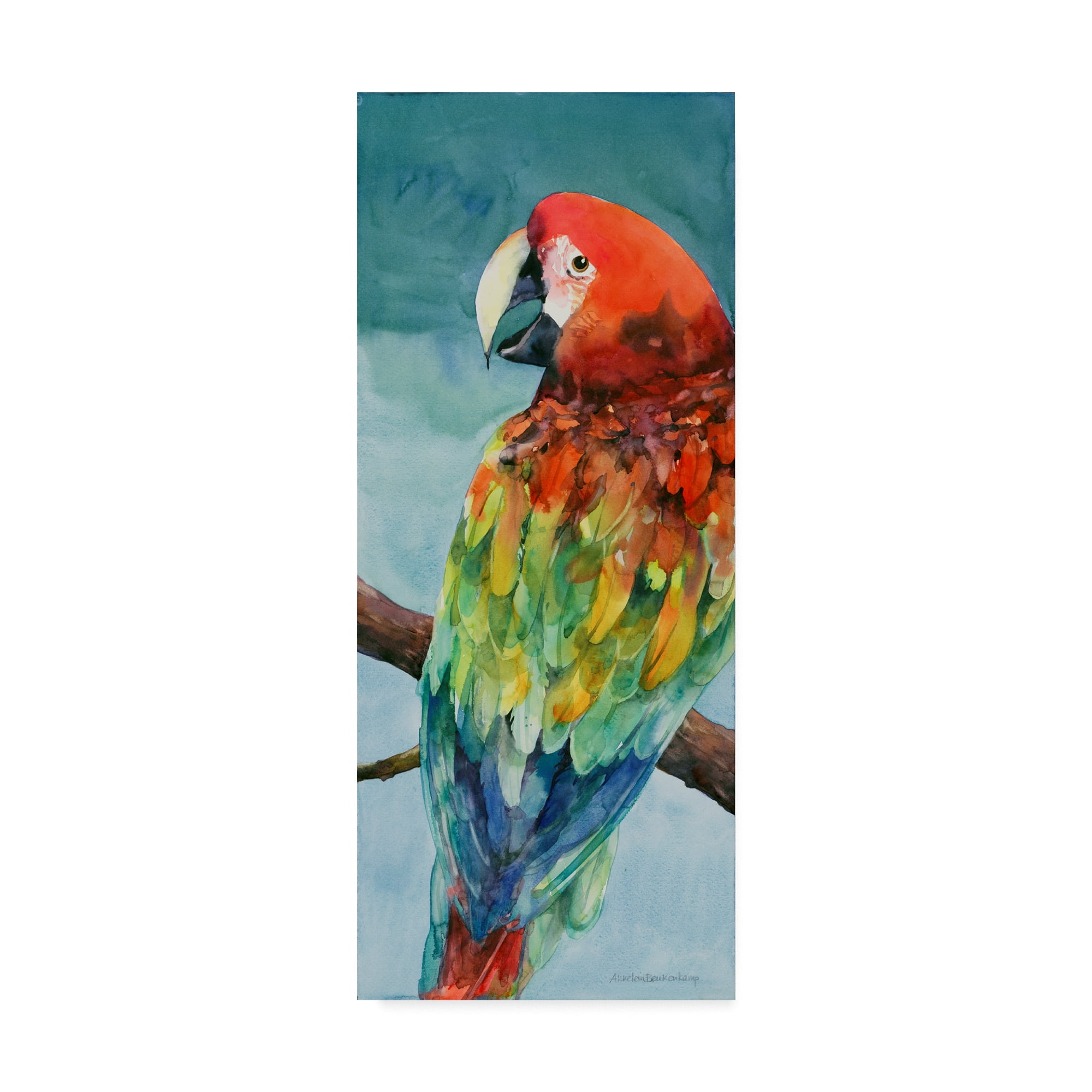 Colorful Parrot Portrait on Canvas in Wooden Frame