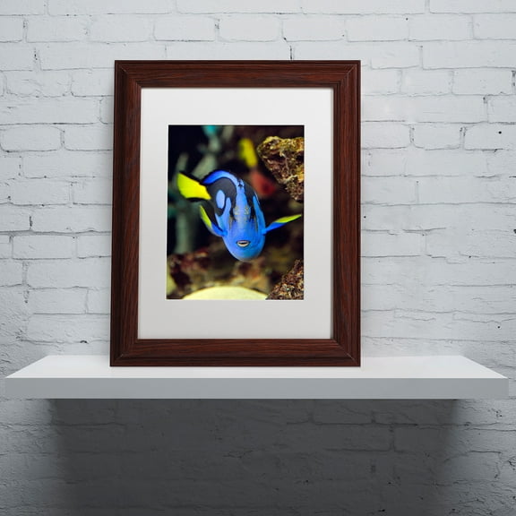 Trademark Fine Art "Parrot Fish" Canvas Art by Kurt Shaffer, White Matte, Wood Frame