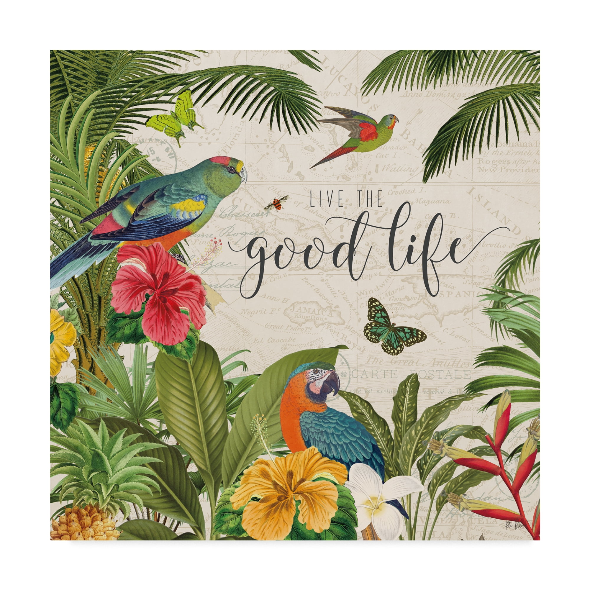 Colorful Tropical Parrots and Flowers Canvas Art, 14 x 14 Inches