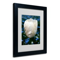 Trademark Fine Art "Parrot Tulip" Canvas Art by Kurt Shaffer, Black Frame