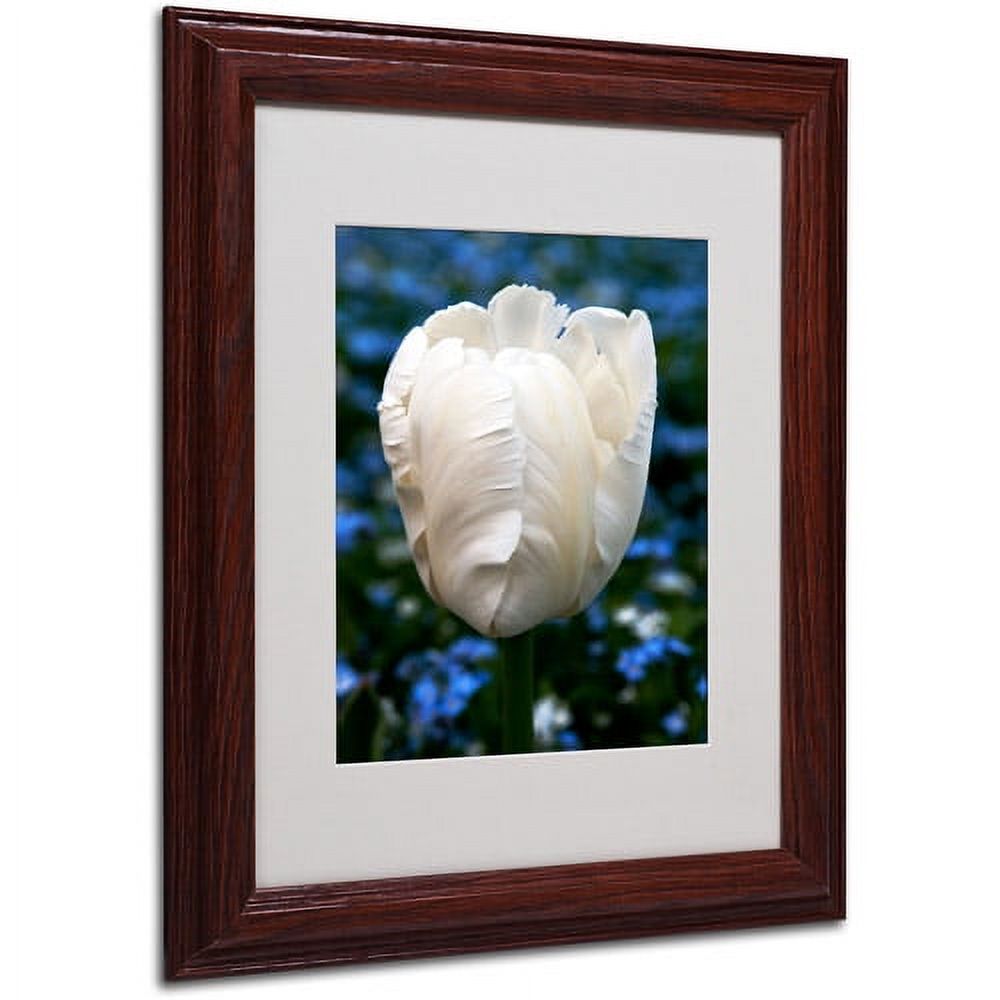 Trademark Fine Art "Parrot Tulip" Canvas Art by Kurt Shaffer, Wood Frame