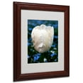 thumbnail image 1 of Trademark Fine Art "Parrot Tulip" Canvas Art by Kurt Shaffer, Wood Frame, 1 of 3