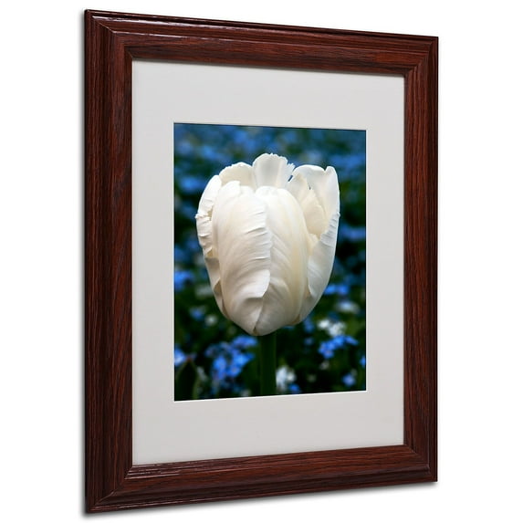 Trademark Fine Art "Parrot Tulip" Canvas Art by Kurt Shaffer, Wood Frame