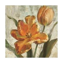 Trademark Fine Art 'Parrot Tulips I on Ivory' Canvas Art by Danhui Nai