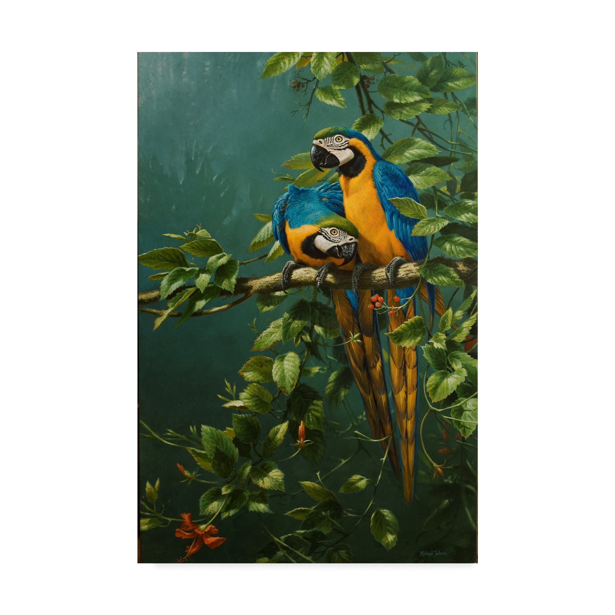 Trademark Fine Art 'Parrots, Love Is' Canvas Art by Michael Jackson