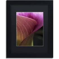 Trademark Fine Art "Part of a Calla Lily" Canvas Art by Kurt Shaffer, Black Matte, Black Frame