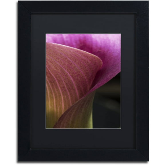 Trademark Fine Art "Part of a Calla Lily" Canvas Art by Kurt Shaffer, Black Matte, Black Frame