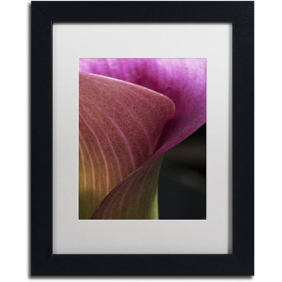 Trademark Fine Art "Part of a Calla Lily" Canvas Art by Kurt Shaffer, White Matte, Black Frame