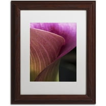 Trademark Fine Art "Part of a Calla Lily" Canvas Art by Kurt Shaffer, White Matte, Wood Frame