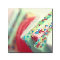 Trademark Fine Art "Party Flavours" Canvas Art by Beata Czyzowska Young