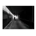 thumbnail image 1 of Trademark Fine Art 'Passenger' Canvas Art by Christoph Hessel, 1 of 3