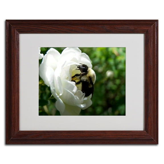 Trademark Fine Art "Passionate Desire" Canvas Art by Monica Fleet, White Matte, Wood Frame