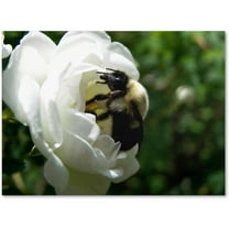 Trademark Fine Art "Passionate Desire" Canvas Art by Monica Fleet