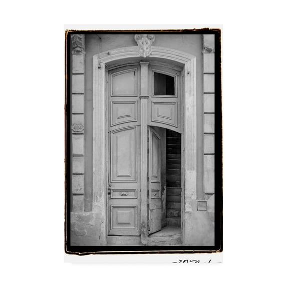 Trademark Fine Art 'Past Elegance Iv' Canvas Art by Laura Denardo