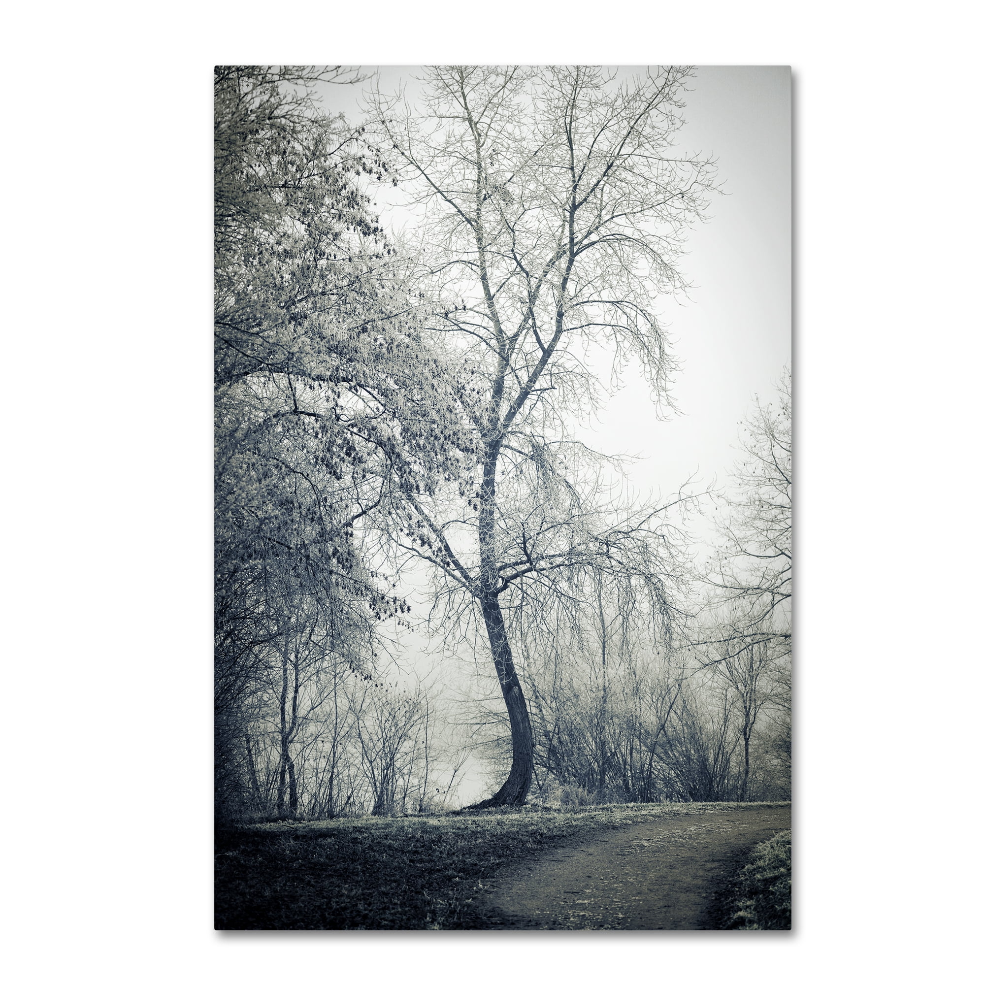 Trademark Fine Art 'Past Lives' Canvas Art by Philippe Sainte-Laudy