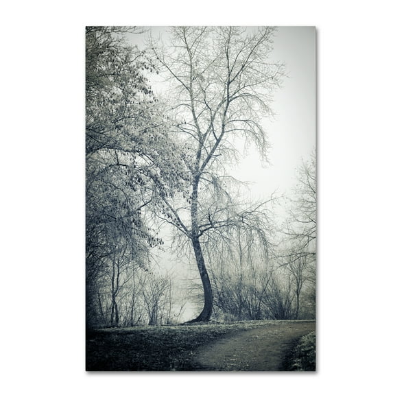 Trademark Fine Art 'Past Lives' Canvas Art by Philippe Sainte-Laudy