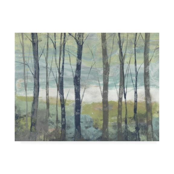 Trademark Fine Art 'Pastel Birches I' Canvas Art by Jennifer Goldberger