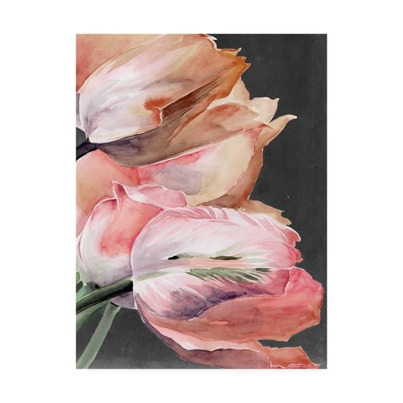 Trademark Fine Art 'Pastel Parrot Tulips IV' Canvas Art by Jennifer Paxton Parker