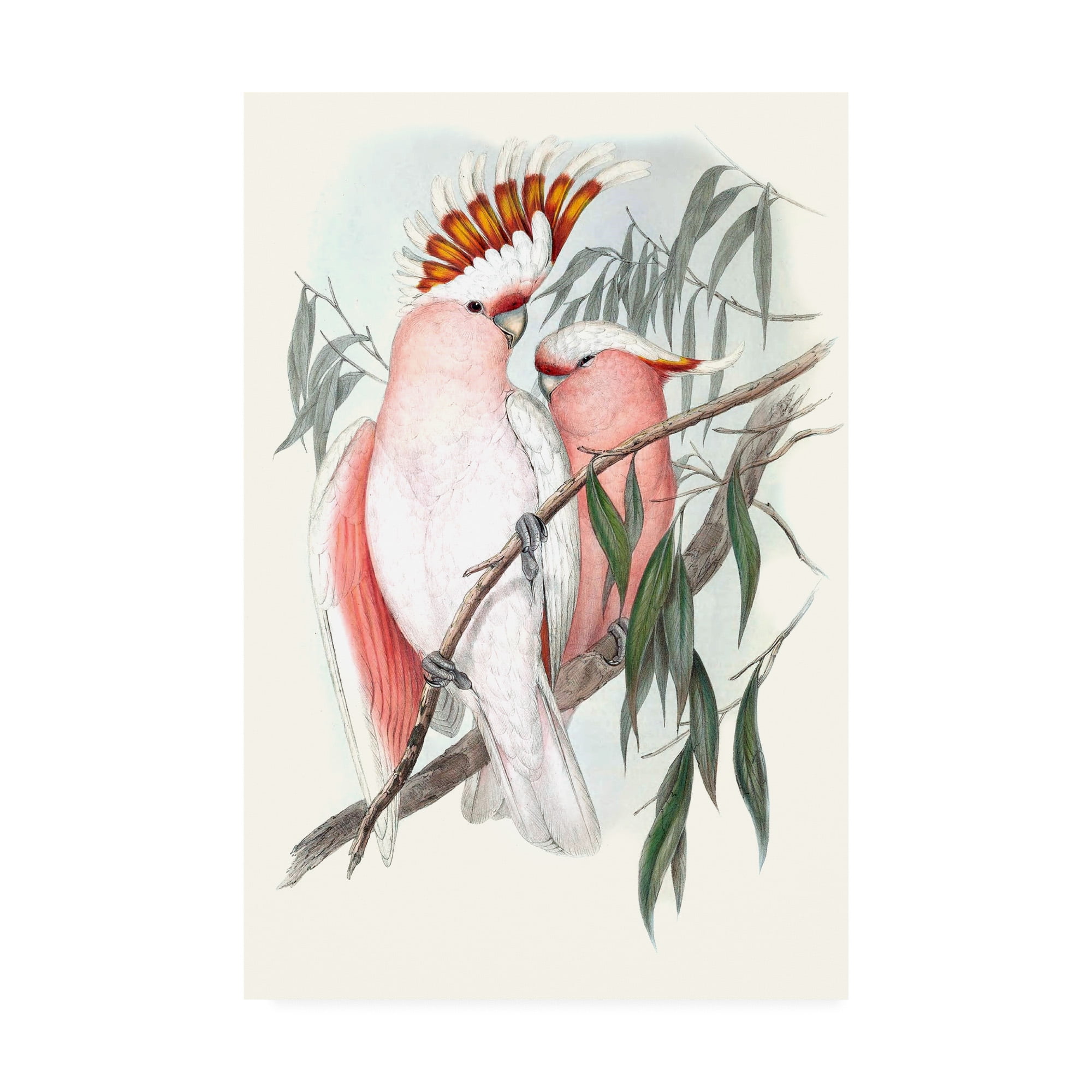 Pastel Pink and White Parrots on Canvas Art, 22 x 32 Inches