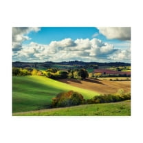 Trademark Fine Art 'Pastoral Countryside III' Canvas Art by Colby Chester