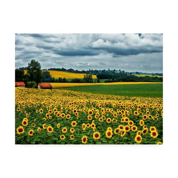 Trademark Fine Art 'Pastoral Countryside IV' Canvas Art by Colby Chester