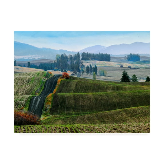 Trademark Fine Art 'Pastoral Countryside XIII' Canvas Art by Colby Chester