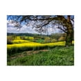 thumbnail image 1 of Trademark Fine Art 'Pastoral Countryside XIV' Canvas Art by Colby Chester, 1 of 4