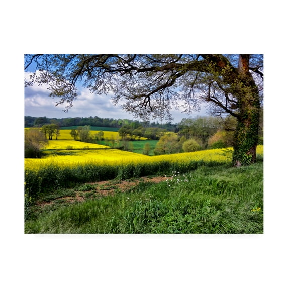 Trademark Fine Art 'Pastoral Countryside XIV' Canvas Art by Colby Chester